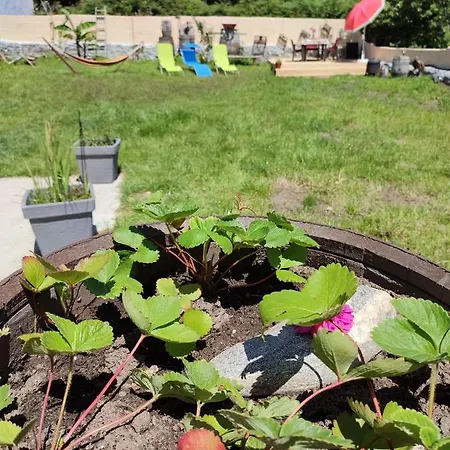 Casa Maxica De Апартаменты *