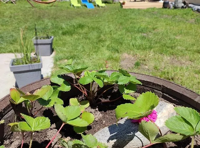 Casa Maxica De Lejlighed *